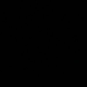 Meet your Posher, Alexander